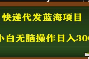2023最新蓝海快递代发项目，小白零成本照抄也能日入300