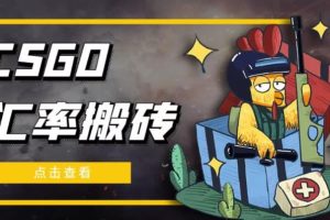 外面9800的CSGO汇率搬砖项目，一个月轻松赚几千【选品软件 详细教程】