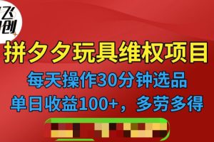 拼多多3C玩具维权项目，一天操作半小时，稳定收入100 （仅揭秘）