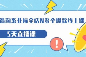 打造-淘系-非标全店N多个爆款线上课,5天直播课