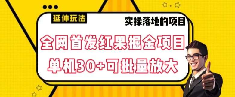 全网首发红果免费短剧掘金项目，单机30 可批量放大【揭秘】