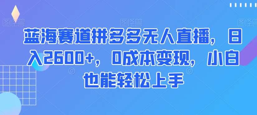 蓝海赛道拼多多无人直播，日入2600 ，0成本变现，小白也能轻松上手【揭秘】
