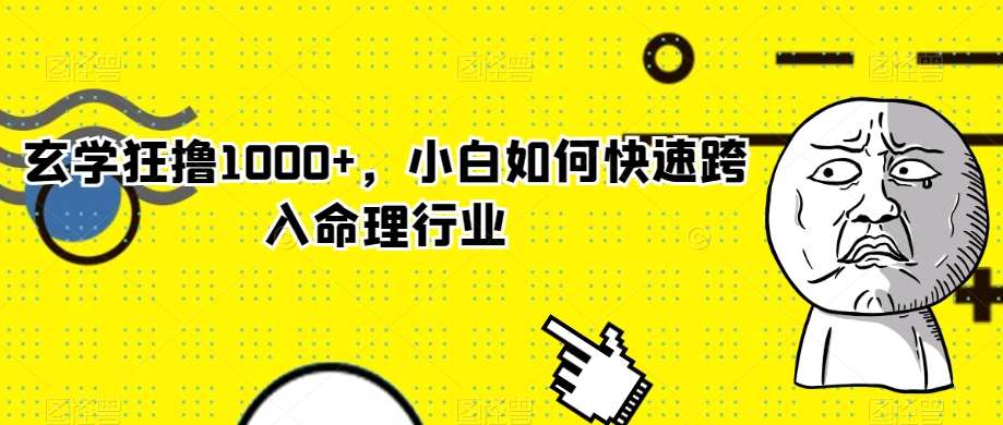 玄学狂撸1000 ，小白如何快速跨入命理行业【揭秘】