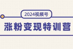 2024视频号-涨粉变现特训营:一站式打造稳定视频号涨粉变现模式(10节)