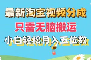 最新淘宝视频分成,只需无脑搬运,小白也能轻松月入五位数,可矩阵批量…