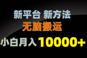 新平台新方法，无脑搬运，月赚10000+，小白轻松上手不动脑
