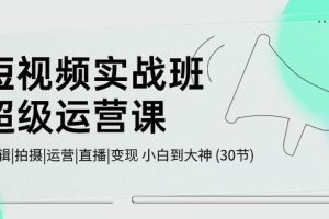 短视频实战班-超级运营课,|剪辑|拍摄|运营|直播|变现 小白到大神 (30节)
