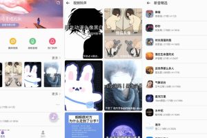 安卓66铃声v2.8.1绿化版