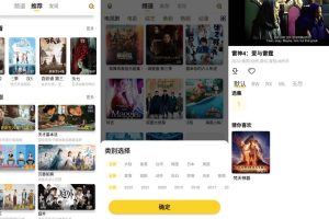 安卓曲奇影视内置接口丰富