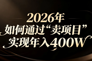 2026年如何通过“卖项目”实现年入百万
