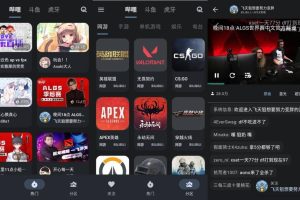 纯粹直播App 聚合三大平台直播