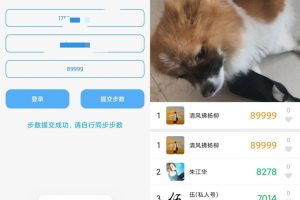 布偶步数助手 支持QQ微信支付宝