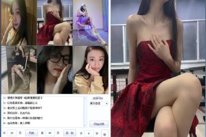 PC美女写真爬取下载v1.7绿色版