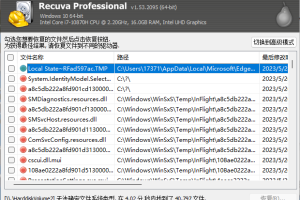 Recuva数据恢复软件v1.53.2095绿色版