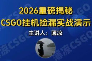 CSGO游戏挂机游戏搬砖最新升级，普通小白一部手机可日入300+当天见结果，支持验证