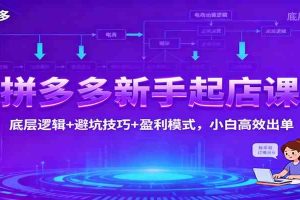 拼多多新手起店课：底层逻辑+避坑技巧+盈利模式，小白高效出单