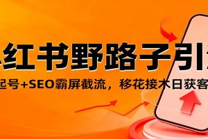 小红书野路子引流，暴力起号+SEO霸屏截流，移花接木日获客100+