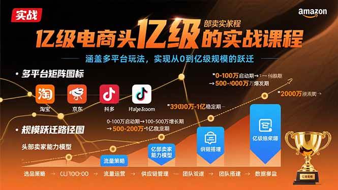 (15803期)亿级电商头部卖家的实战课程:涵盖多平台玩法,实现从0到亿级规模的跃迁