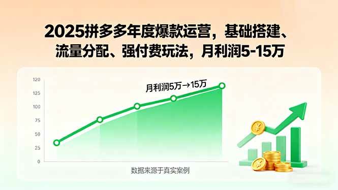(15973期)2025拼多多年度爆款运营,基础搭建、流量分配、强付费玩法,月利润5-15万