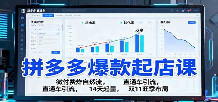 拼多多爆款起店课:微付费炸自然流,直通车引流,14天起量,双11旺季布局