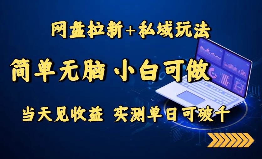 (15744期)网盘拉新+私域玩法,简单无脑,小白可做,当天见收益,实测单日可破千